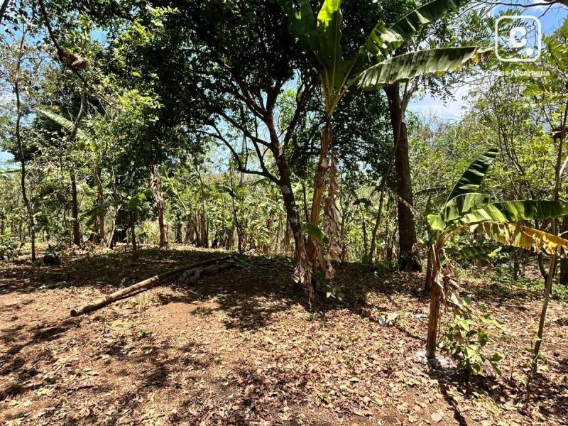 Casa en venta en Masatepe, Masaya – 4,666 m²