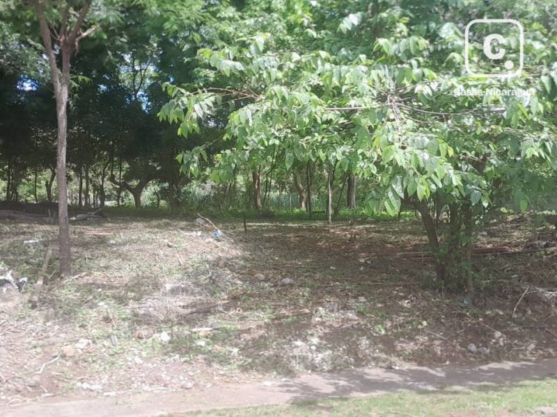 Casa en venta en Managua – 423 m²