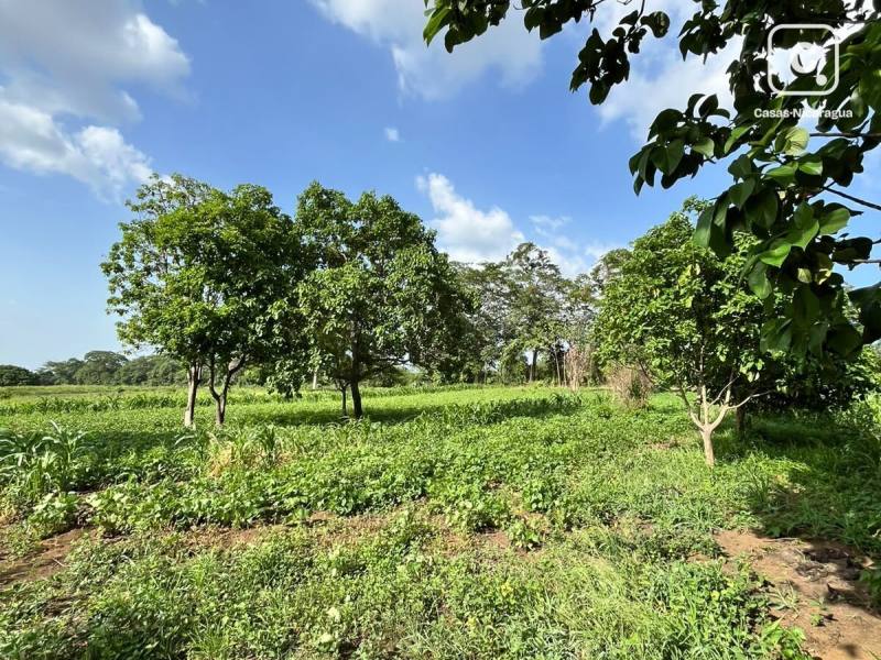 Casa en venta en Masaya