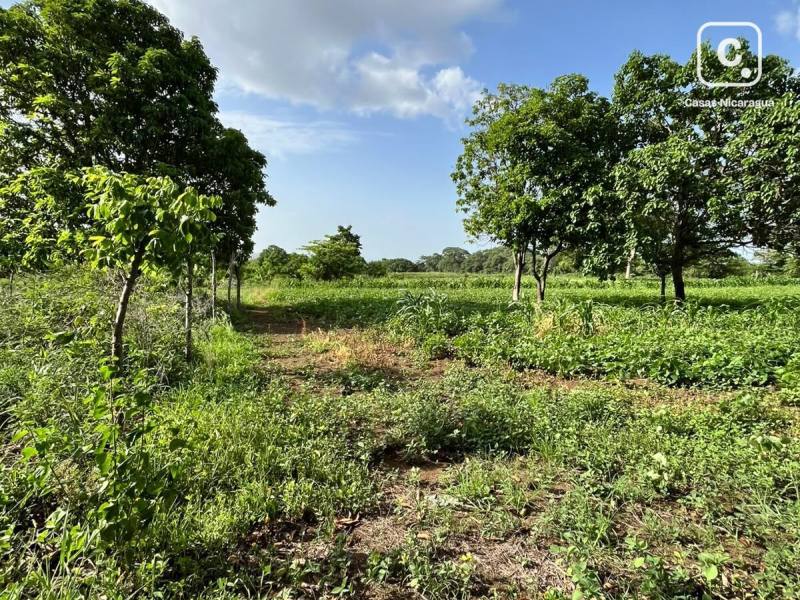 Terreno en venta en Masaya – 5,039 varas²