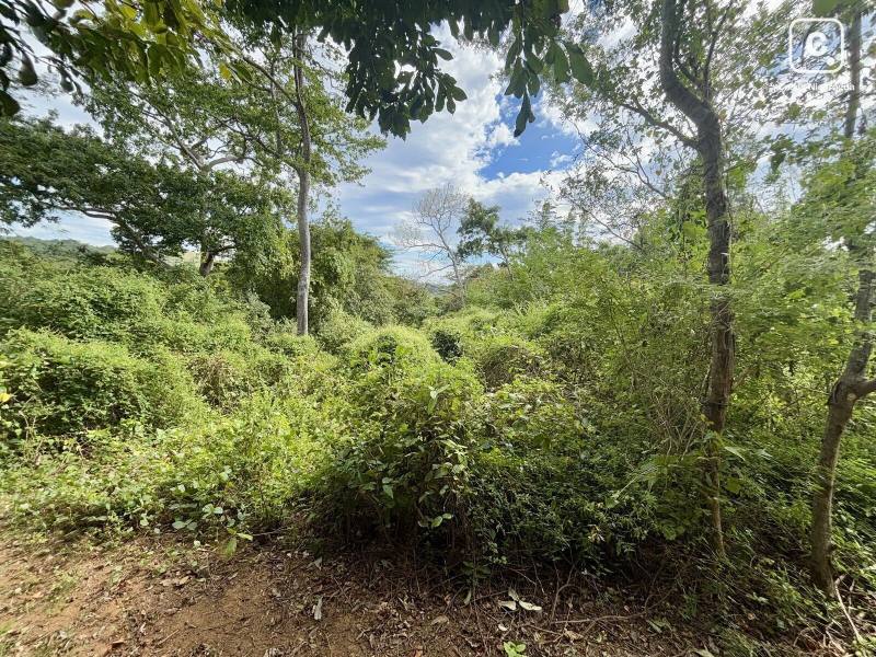Casa en venta en Tola, Rivas – 7,409 m²