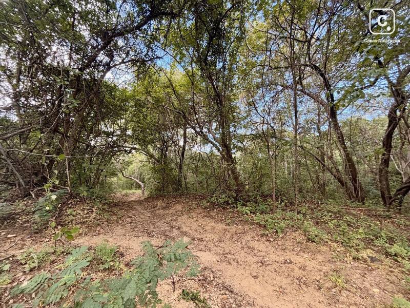 Casa en venta en Tola, Rivas – 27,495 m²