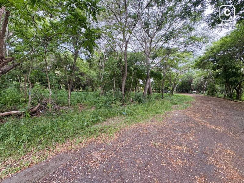 Apartamento en venta en Masaya – 4,456 varas²
