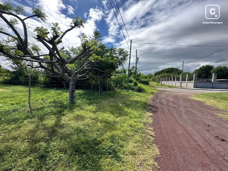 Terreno en venta en Granada – 1,950 m²