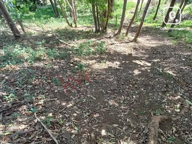 Apartamento en venta en Suburbana, Managua – 951 m²