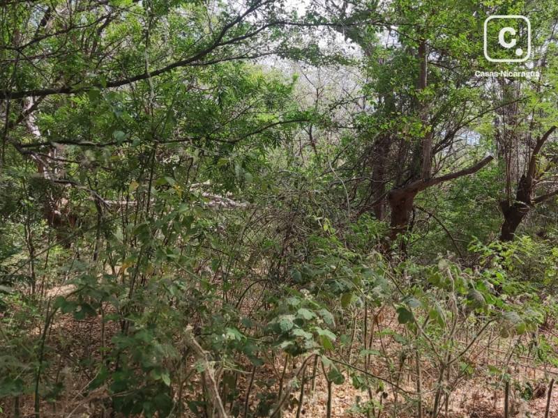 Casa en venta en Tipitapa, Managua – 35,250 m²