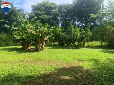 Terreno en venta en Nindirí, Masaya – 1,352 m²