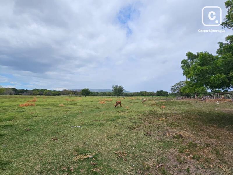 Casa en venta en Managua – 64,453 m²