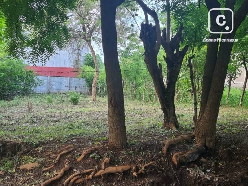 Casa en venta en Managua – 276 m²
