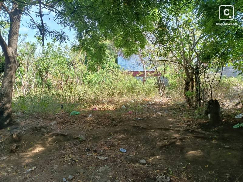 Casa en venta en Managua – 276 m²
