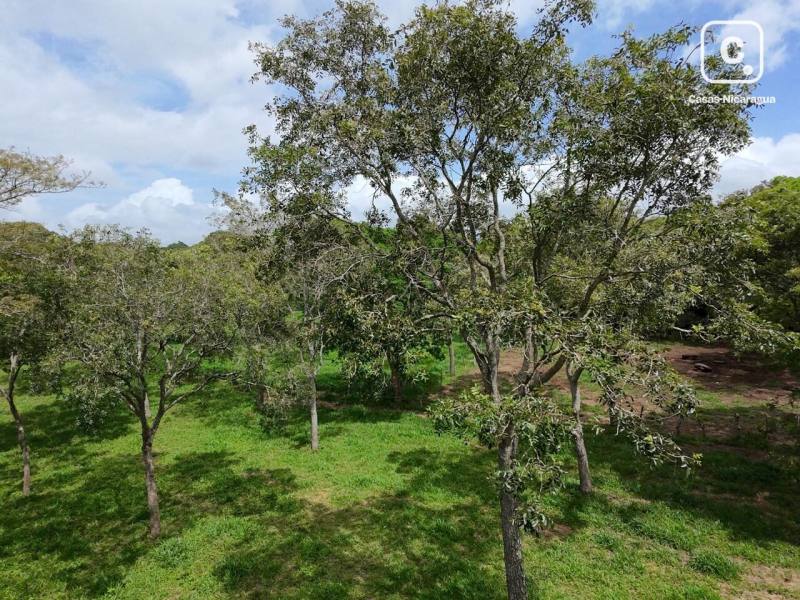 Casa en venta en Jinotepe, Carazo