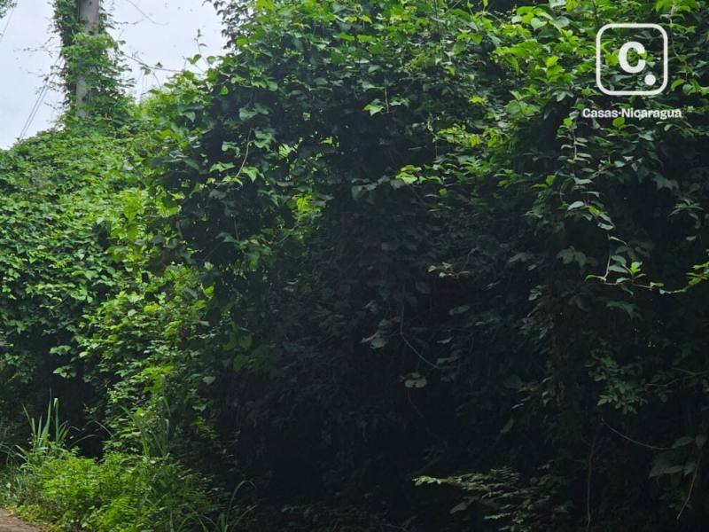 Casa en venta en Managua