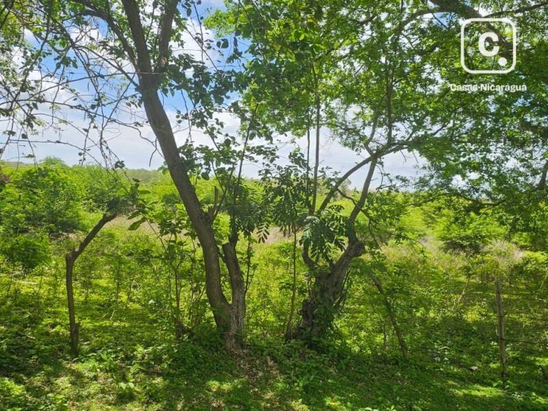 Casa en venta en Masaya