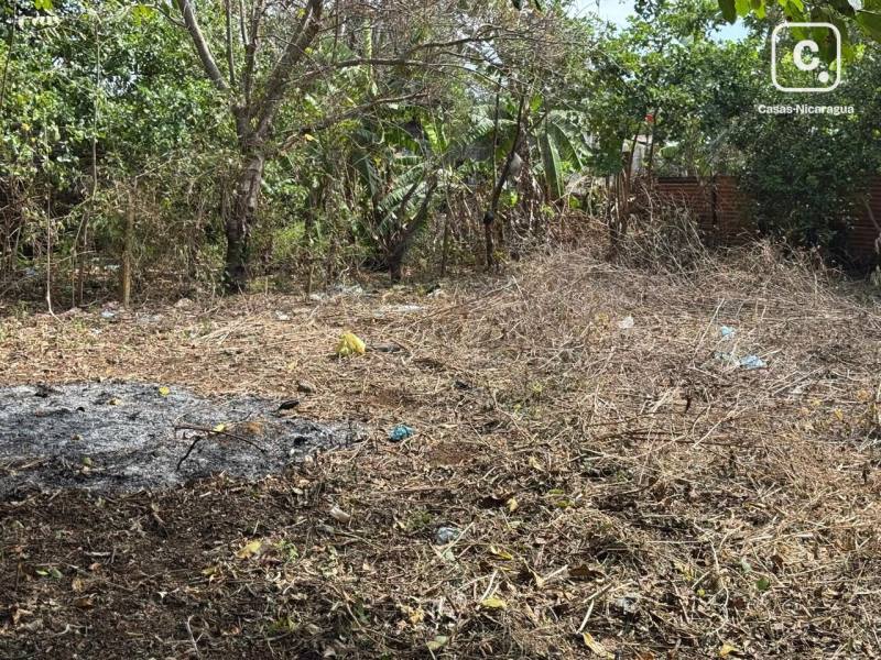 Terreno en venta en Tipitapa, Masaya – 156 m²