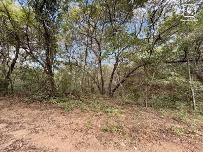 Terreno en venta en Rivas – 39,937 varas²