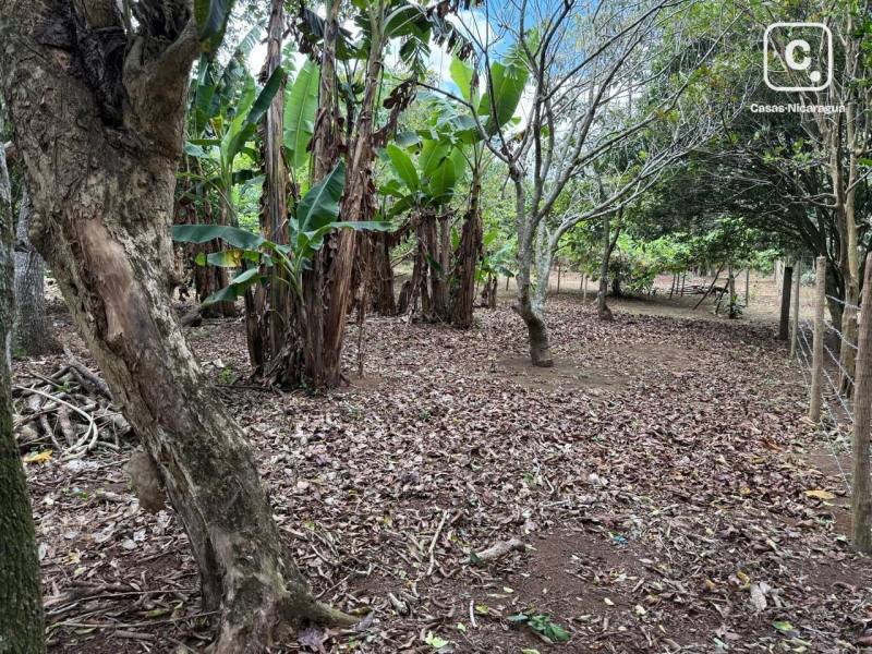Terreno en venta en Carazo – 1,514 varas²