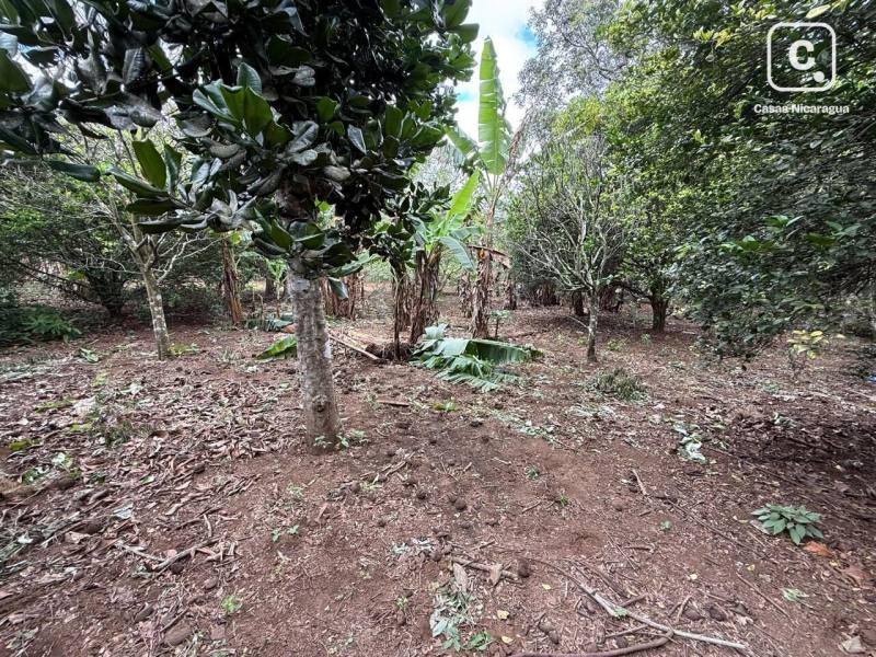 Terreno en venta en Carazo – 1,514 varas²