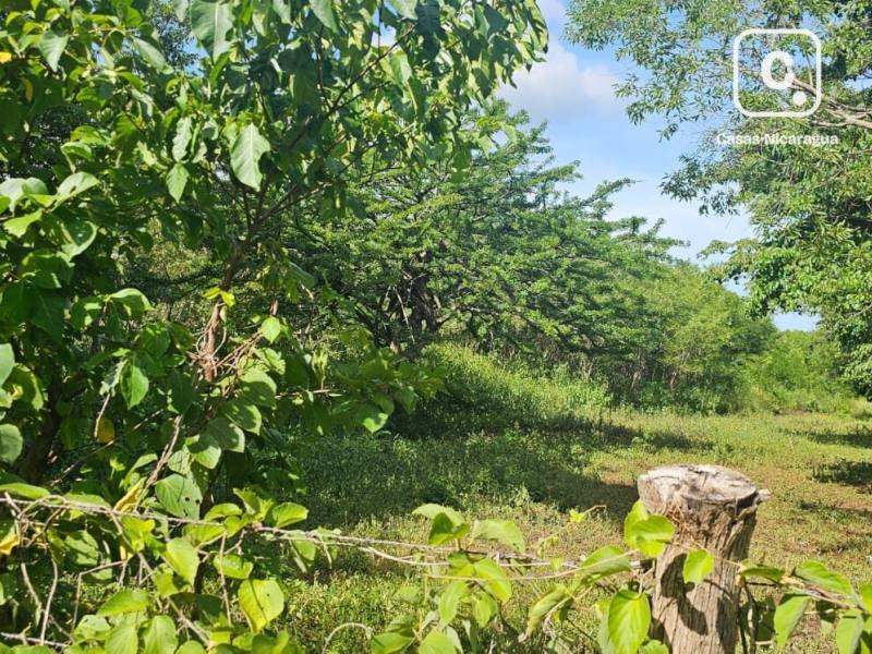 Terreno en venta en Granada – 615,621,383 varas²