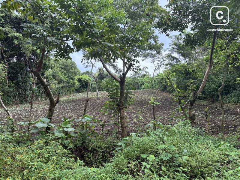 Terreno en venta en Jinotepe, Carazo – 2,591 varas²