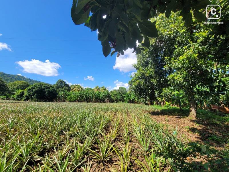 Casa en venta en Managua