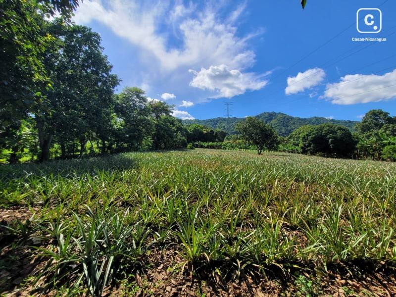 Terreno en venta en Managua – 10,019 varas²