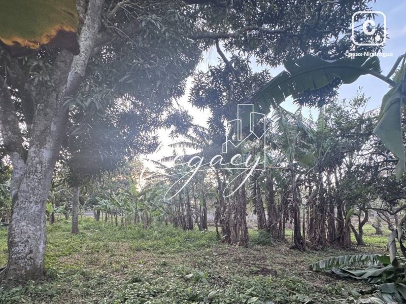Casa en venta en San Marcos, Carazo